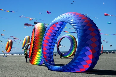 Uttrayan Kites