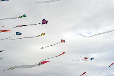 Go Fly A Kite   (