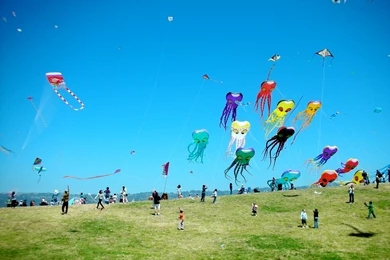 India Kites Flying Day Wallpapers 2014, 2014 India Kites Flying ...