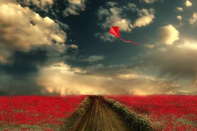 Clouds Flowers Deviantart Kite Wallpapers