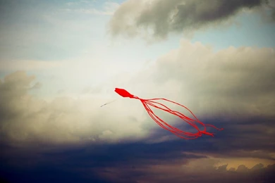 Moody Kite Wallpapers By 69efan69 On DeviantArt