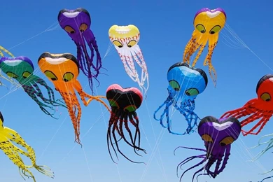 Events Archives   Page 17 Of 31   HD Wallpapers