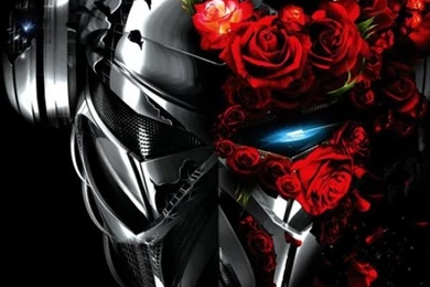 Skull Wallpapers For Android   Soft Review