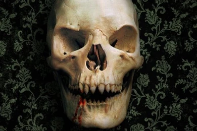 Skull Wallpapers For Android   Wallpapers Zone
