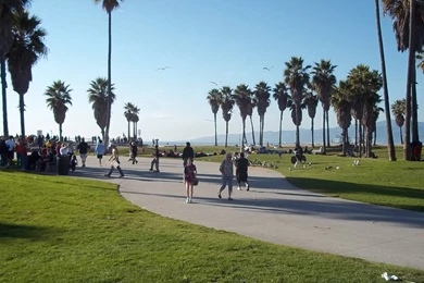 Wallpapers Venice Beach Hd 1920x1080