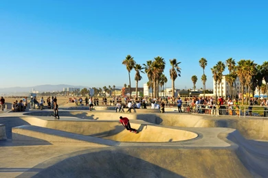 Venice Beach Park Of Skate (id: 18444) – BUZZERG