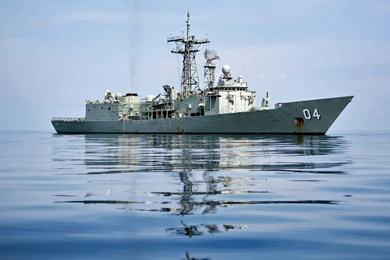 Visual, Paradox, Wallpaper, Darwin, Elmuzzerino, Actual (