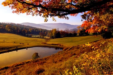 Autumn Wallpapers For Desktop   Images   Tbwnz.com