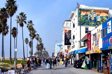 Venicebeach   DeviantArt