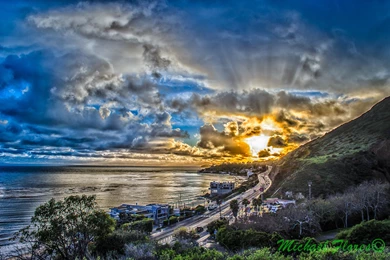 Griffith Observatory Oscars Venice beach Newport Beach Venice ...