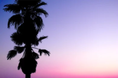 Sunrise At Venice Beach By Smint75 On DeviantArt