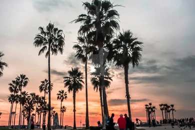 Golden State Of Mind   Venice Beach, CA By Habiss On DeviantArt