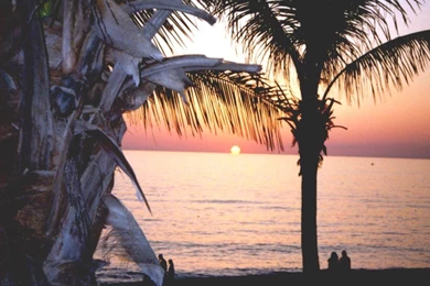 Venice Florida   Desktop Wallpapers