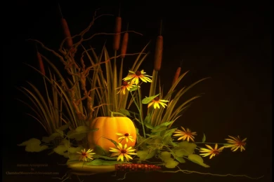 Autumn Scenes Desktop Wallpapers W5E13