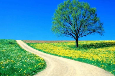 Hd Wallpapers Nature Hd Wallpapers Download