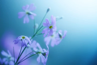 Natural Mountain Wallpapers 3174 Wallpapers Wallpapers Hd