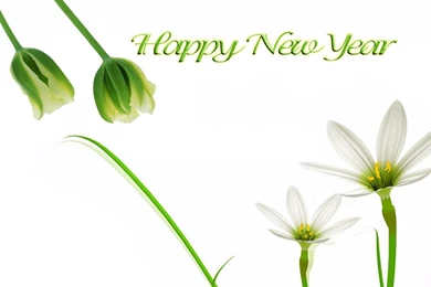 Happy New Year   Flowers Wallpapers   Christian Wallpapers And ...