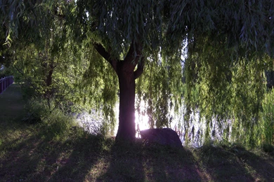 What It Truly Means To