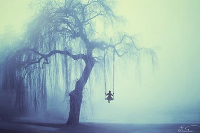 The Weeping Willow By INeedChemicalX On DeviantArt