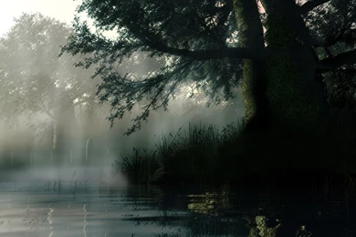 The Weeping Willow, Drawed, Fog, Lake, Nature, Sad 1600x1200 ...