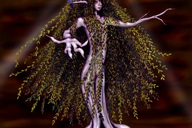 Weeping Willow By Veriale On DeviantArt