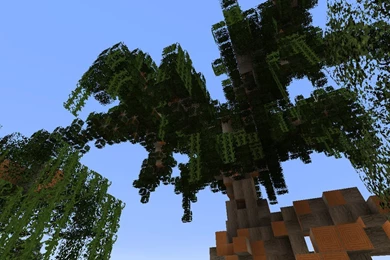 Weeping Willow By Franki786 On DeviantArt