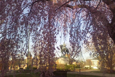 Skateland Hall Of Fame