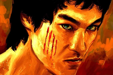 Bruce Lee Wallpapers Download   Wallpapers Zone
