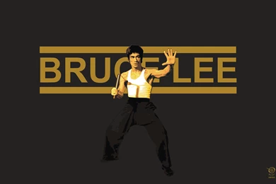 2560x1600 Bruce Lee Desktop PC And Mac Wallpapers