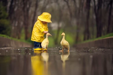 Little Baby With Ducks Wallpapers HD Download For Desktop