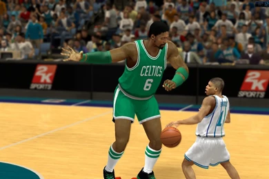 Larry Bird's Tube Sox