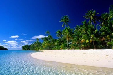 Download Free 120 Desktop Wallpapers For Widescreen   The Quotes Land