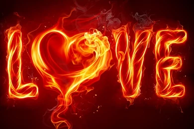 All is fair in love hd wallpaper 2xezv9mhkgolafhecom2ve.jpg