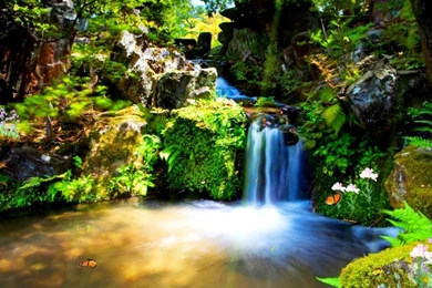 Animated Wallpapers PC,desktop Wallpapers