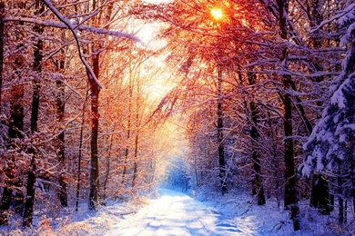 Winter Scenes HD Desktop Wallpapers : Widescreen : High Definition ...