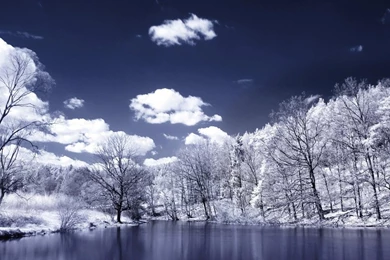 Snow Winter Scene Wallpapers 1280x1024 (