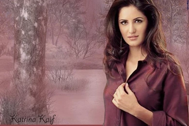 Hot Photos > Katrina kaif hot > HOT WALLPAPER OF KATRINA KAIF 92 ...