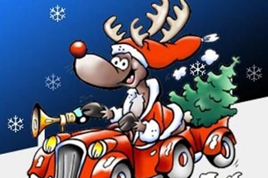 Free Funny Img2 Cell Phone Wallpapers