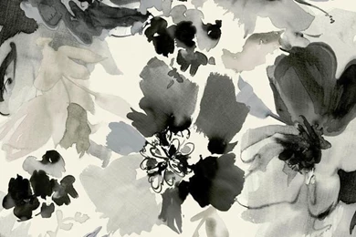 Black & White Wallpapers   Monochromatic Designs