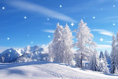 Winter Live Wallpapers   Android Apps On Google Play