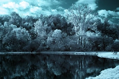 Winter,ice Ice Winter Trees Cold Winter Landscapes 1024x768 ...