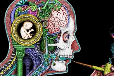 Download Wallpapers, Download 1280x1024 Baby Men Brain Trippy ...