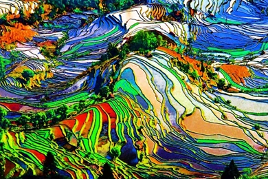 Trippy Wallpapers 1680x1050   (