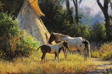 Native American Computer Wallpapers, Desktop Backgrounds ...