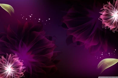 Two Purple Flowers HD Desktop Wallpapers : Widescreen : High ...