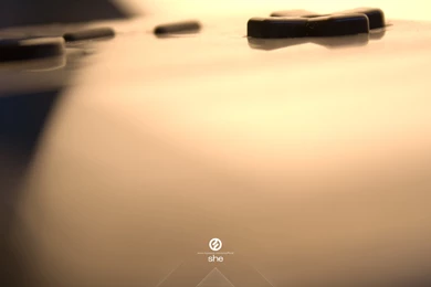 Download She Gameboy Wallpapers 1920x1200