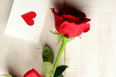 Love Wallpapers For iPhone 5