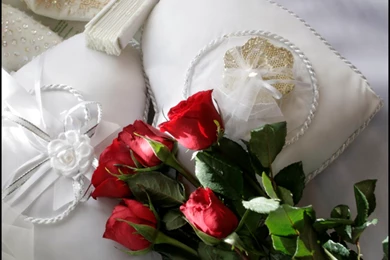 Day Romantic Red Rose Wallpapers And Backgrounds For Desktop