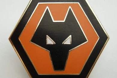 Wolverhampton Wolves   Bing Images