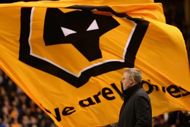 Wolves Blog: With A Bit Of Perspective, The Bigger Picture Isn't ...